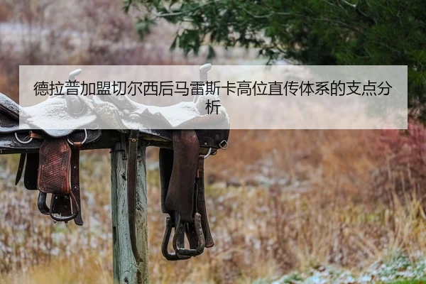 德拉普加盟切尔西后马雷斯卡高位直传体系的支点分析