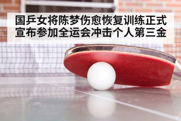 国乒女将陈梦伤愈恢复训练正式宣布参加全运会冲击个人第三金