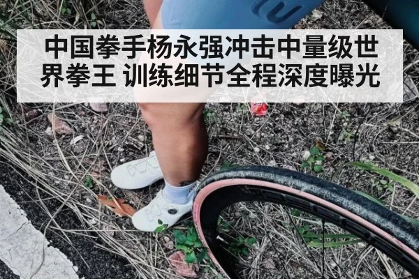 中国拳手杨永强冲击中量级世界拳王 训练细节全程深度曝光