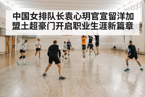 volleyball court action